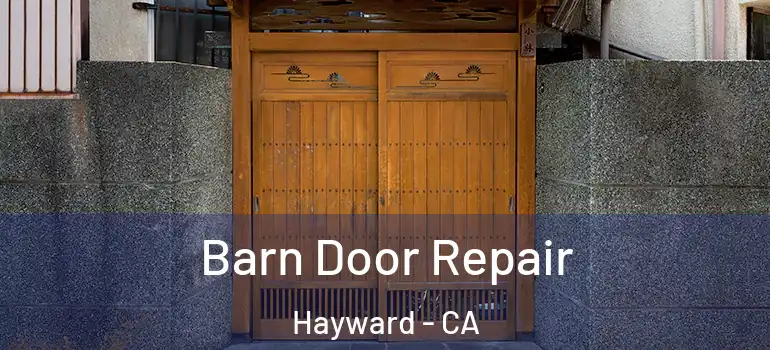  Barn Door Repair Hayward - CA