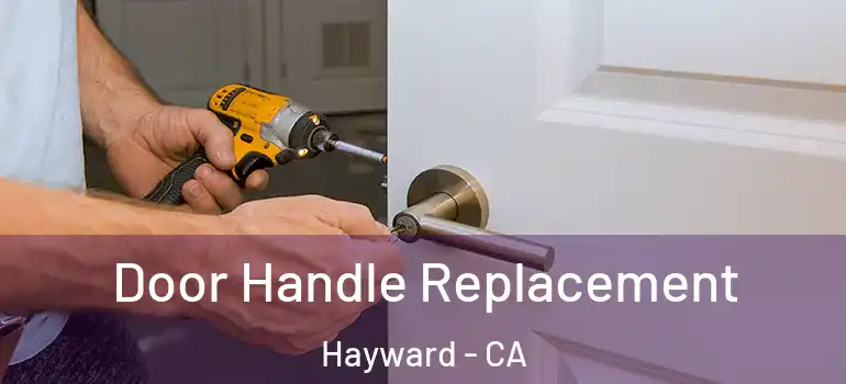  Door Handle Replacement Hayward - CA