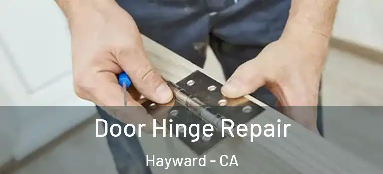  Door Hinge Repair Hayward - CA