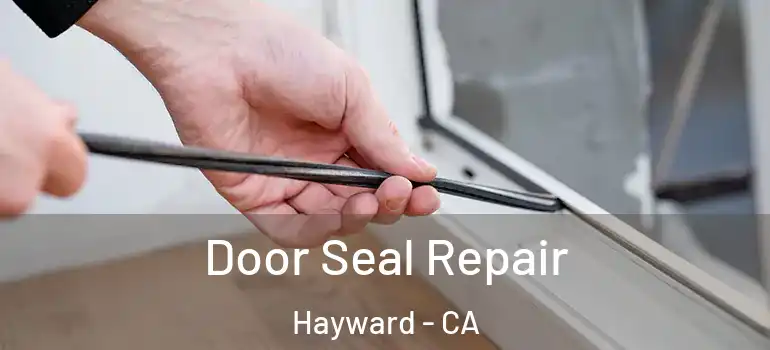  Door Seal Repair Hayward - CA