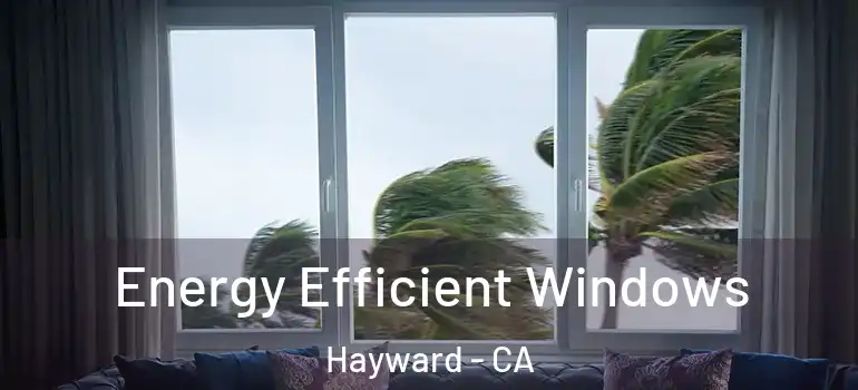  Energy Efficient Windows Hayward - CA