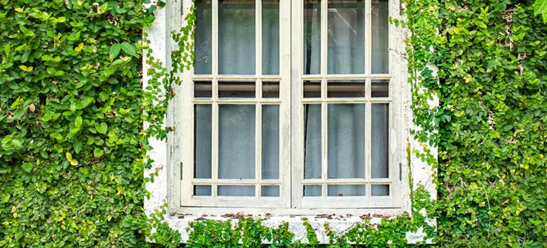 Garden Window Repair Near Me in Hayward, CA