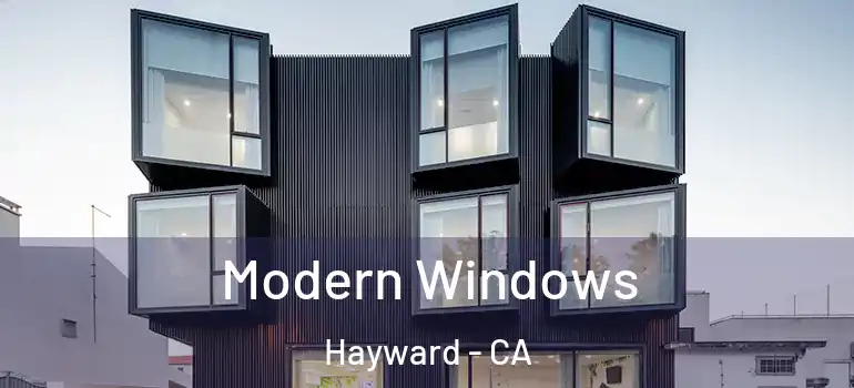  Modern Windows Hayward - CA