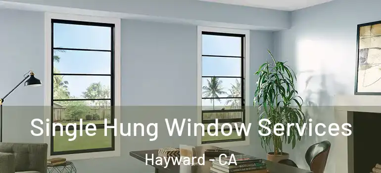  Single Hung Window Services Hayward - CA
