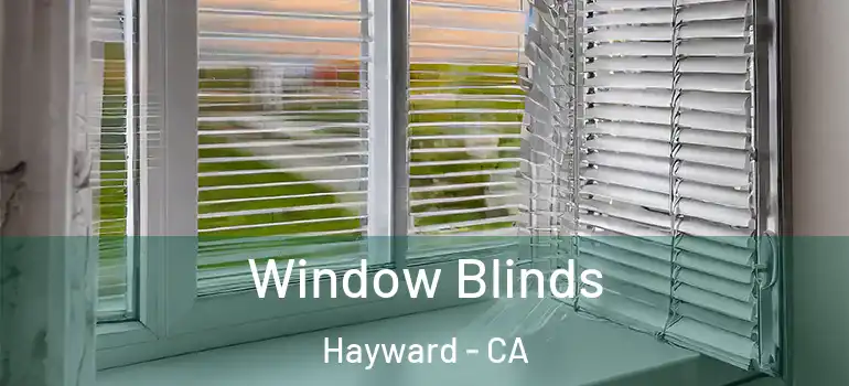  Window Blinds Hayward - CA