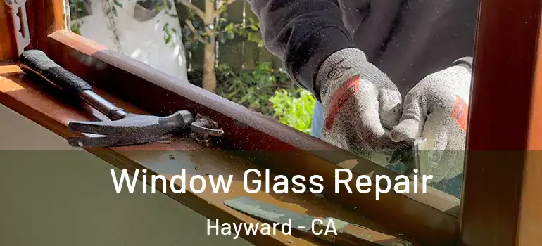  Window Glass Repair Hayward - CA
