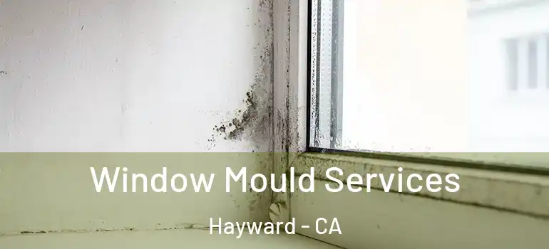  Window Mould Services Hayward - CA