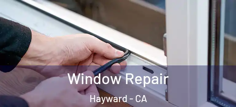  Window Repair Hayward - CA