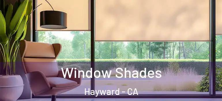  Window Shades Hayward - CA